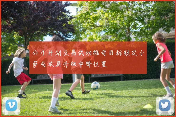 公牛计划交易武切维奇目标锁定小萨或浓眉升级中锋位置